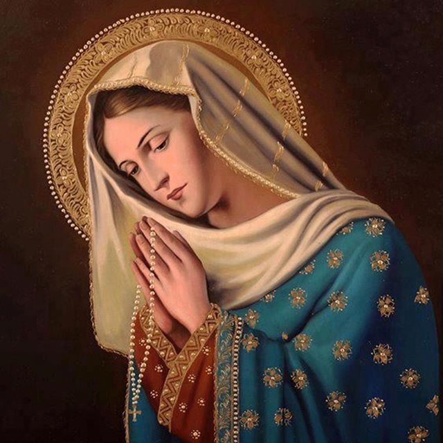 Skull Pray for me Virgin Mary