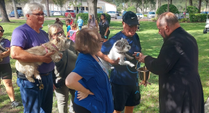 Blessing of the Animals - Saturday, October 3rd 🐾
