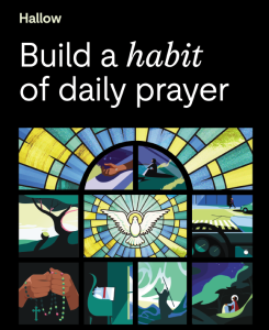 Annunciation Hallow Partnership